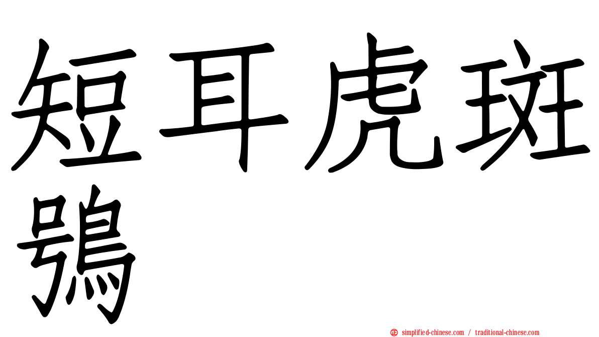 短耳虎斑鸮