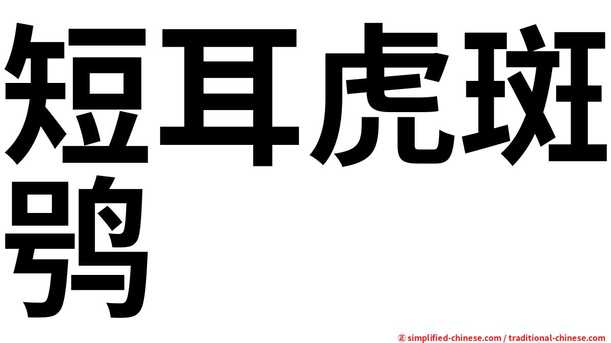 短耳虎斑鸮
