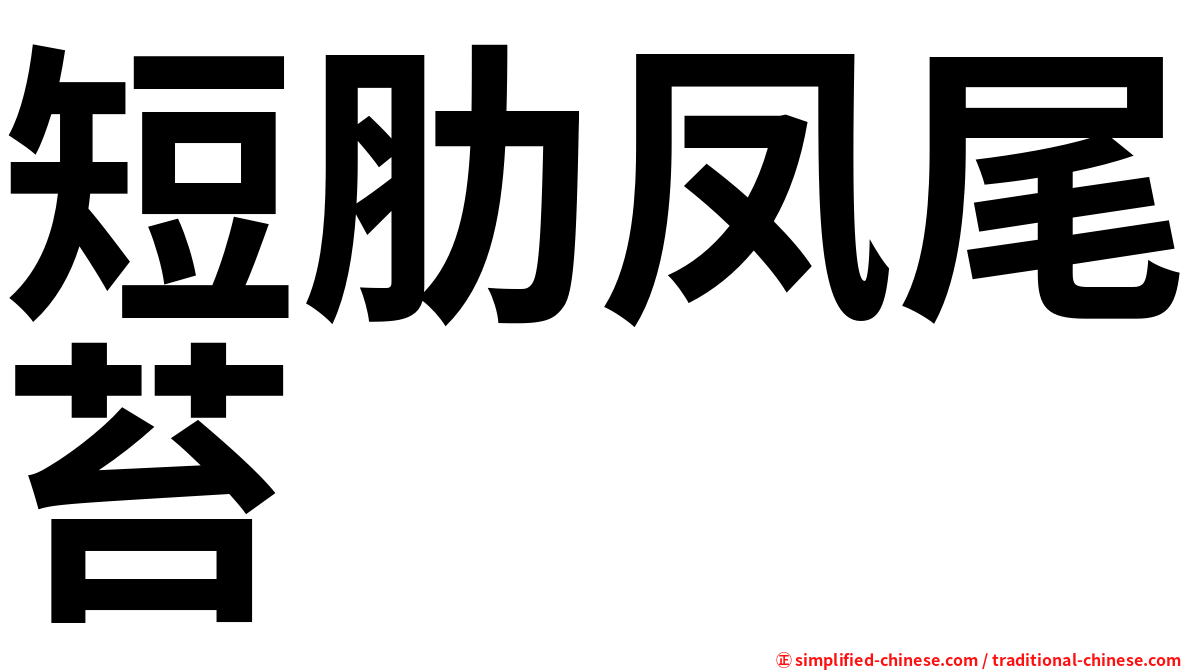 短肋凤尾苔