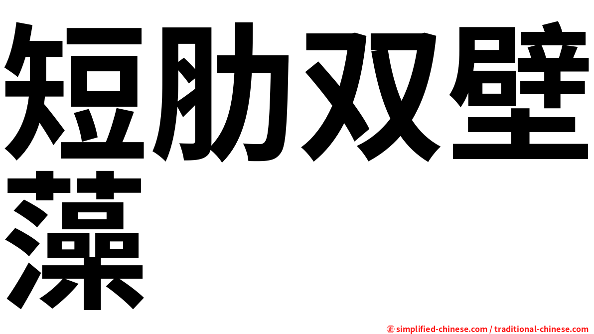 短肋双壁藻