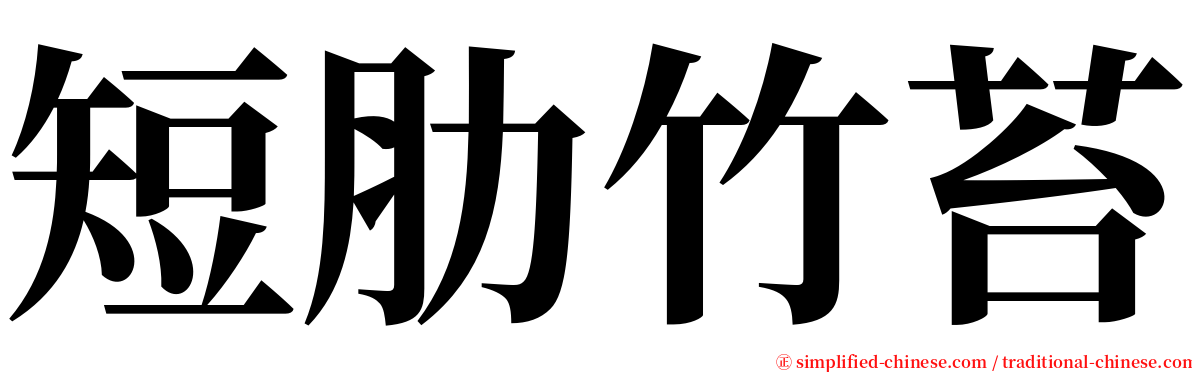 短肋竹苔 serif font