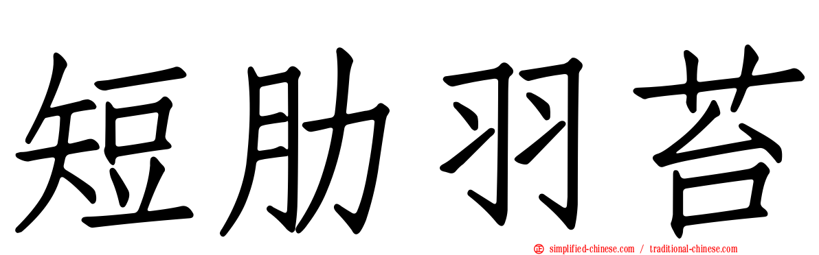 短肋羽苔