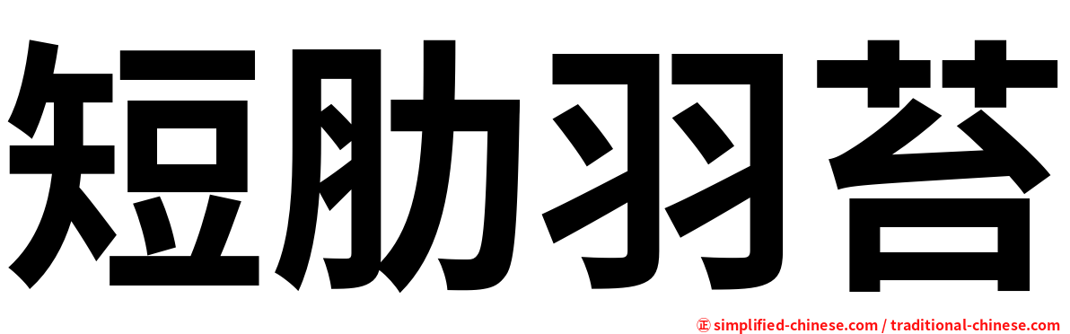 短肋羽苔