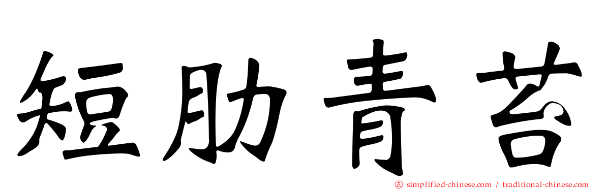 短肋青苔