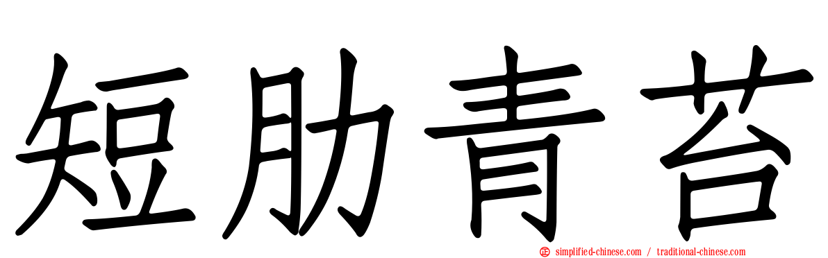 短肋青苔