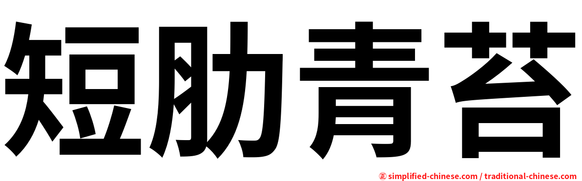 短肋青苔