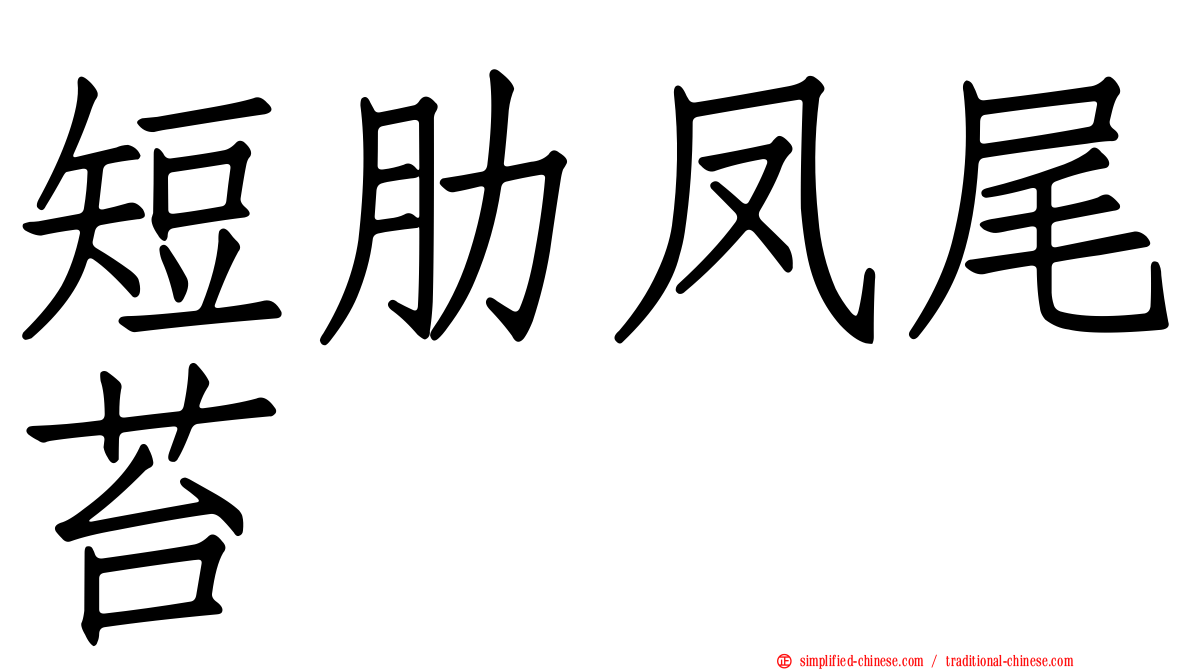 短肋凤尾苔