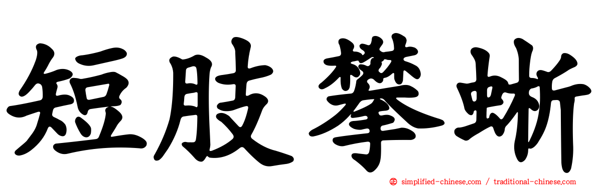 短肢攀蜥