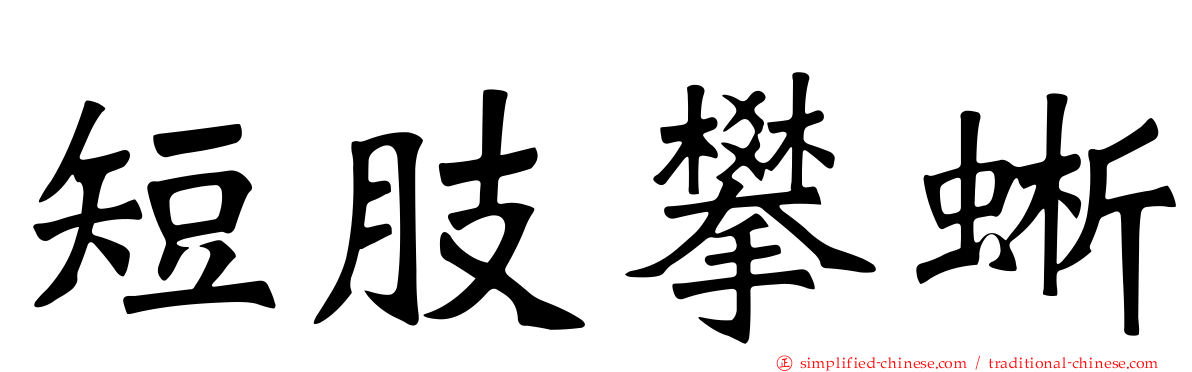 短肢攀蜥