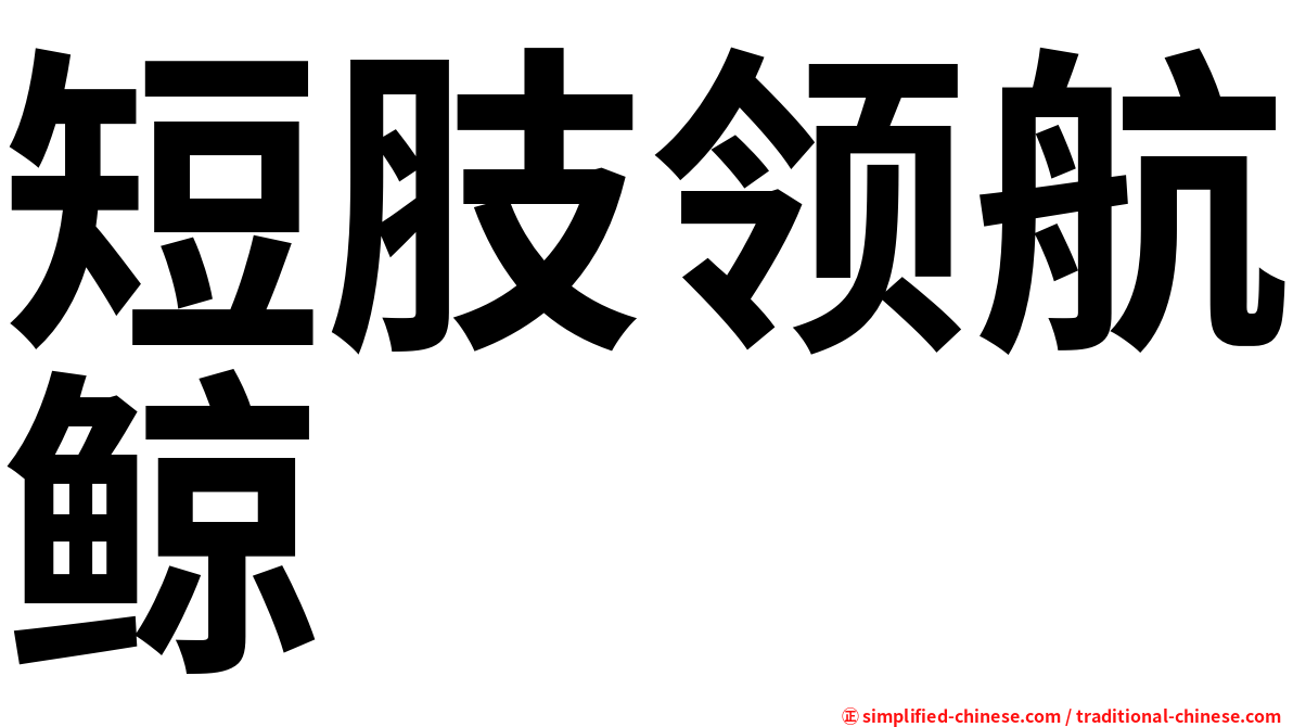 短肢领航鲸