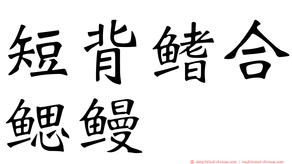 短背鳍合鳃鳗