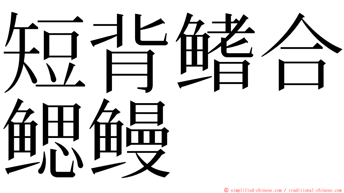 短背鳍合鳃鳗 ming font