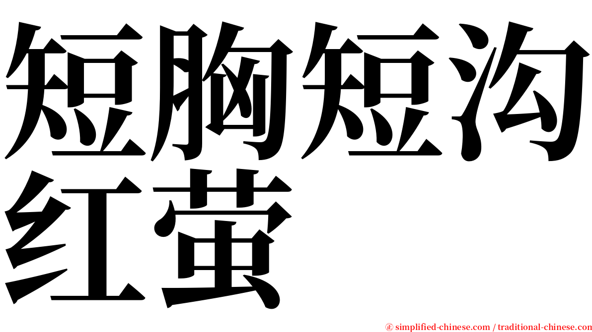 短胸短沟红萤 serif font