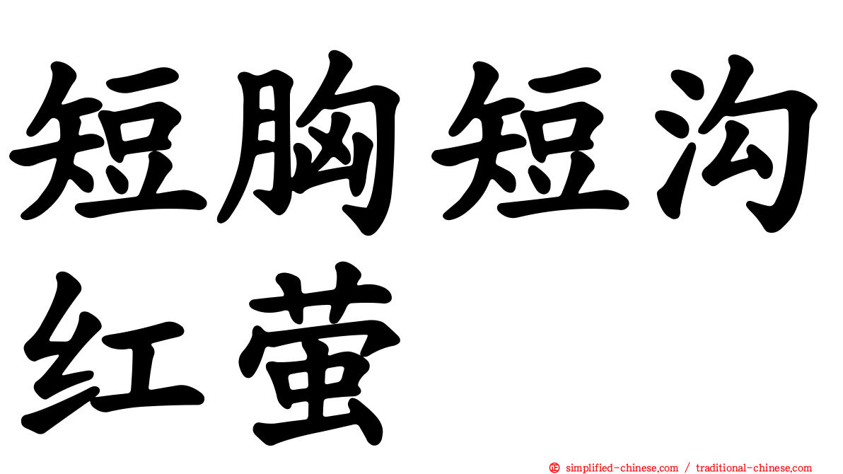短胸短沟红萤