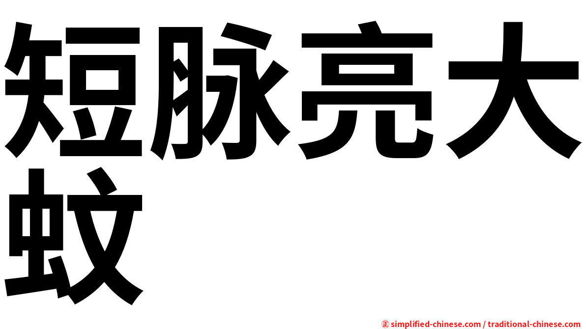 短脉亮大蚊