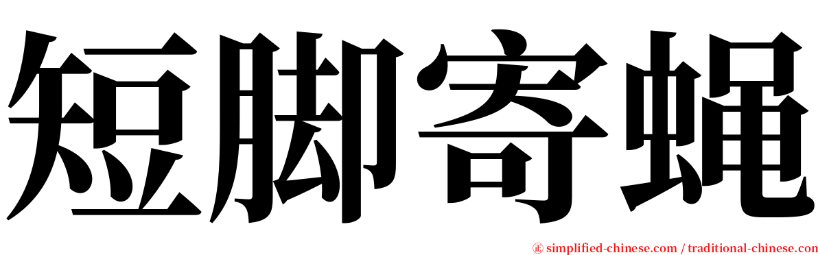 短脚寄蝇 serif font