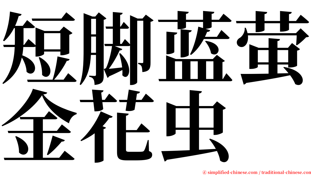 短脚蓝萤金花虫 serif font