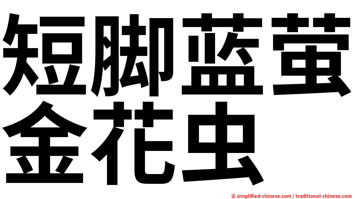 短脚蓝萤金花虫