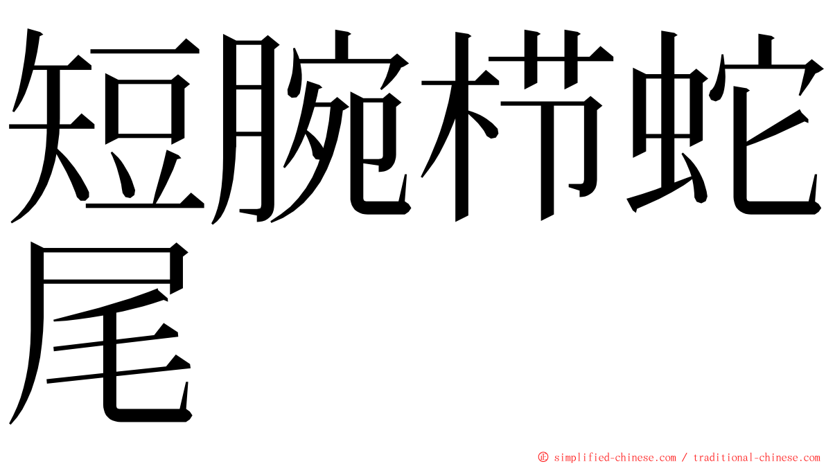 短腕栉蛇尾 ming font