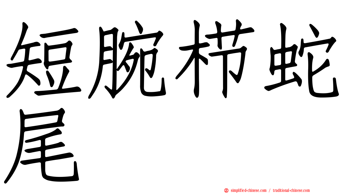 短腕栉蛇尾