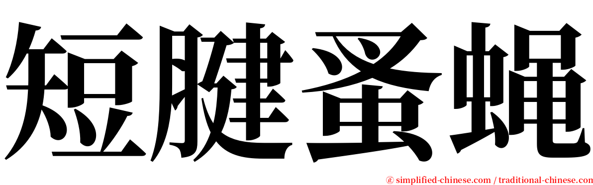 短腱蚤蝇 serif font