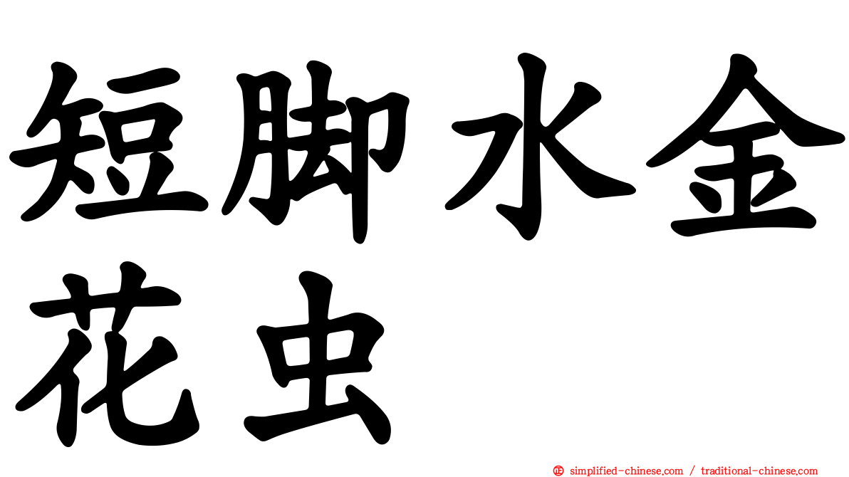 短脚水金花虫