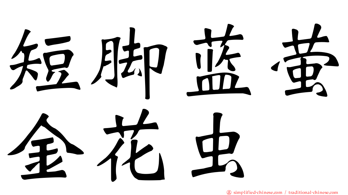 短脚蓝萤金花虫