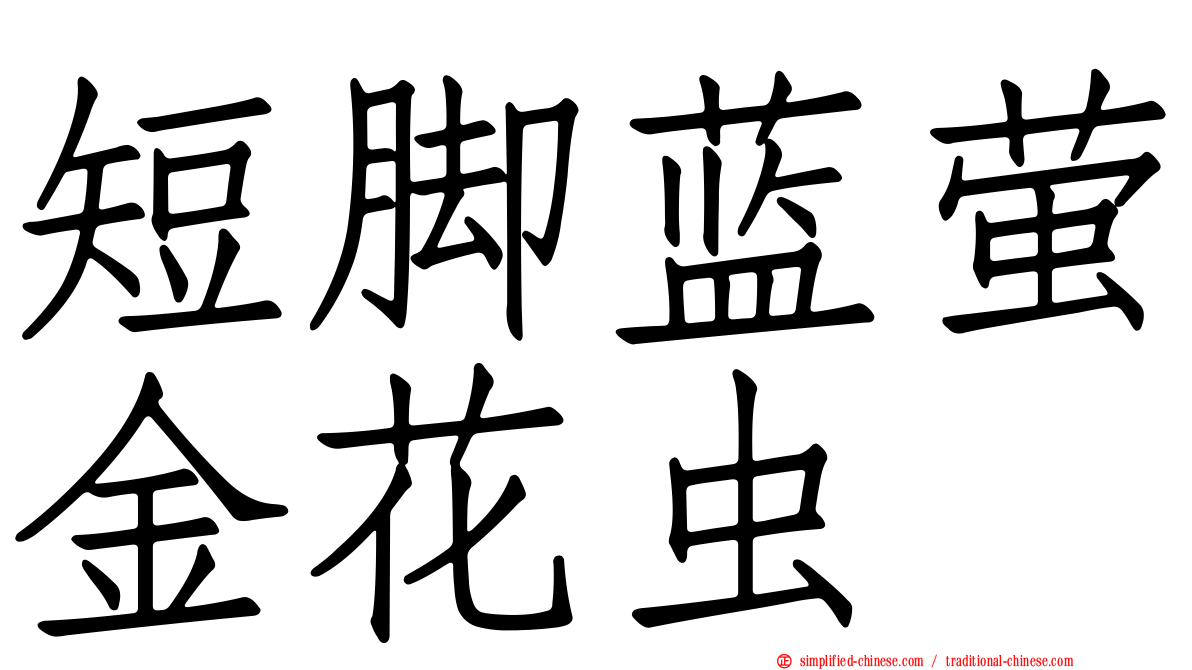 短脚蓝萤金花虫