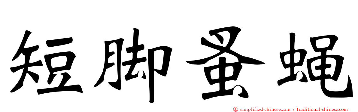 短脚蚤蝇
