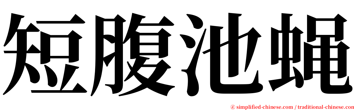 短腹池蝇 serif font