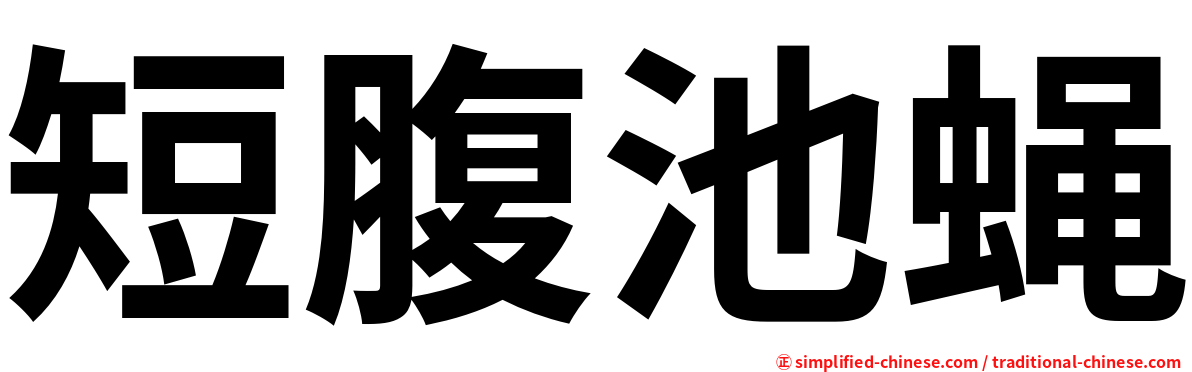 短腹池蝇