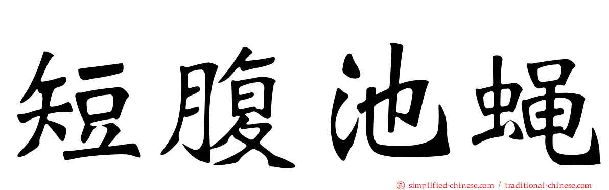 短腹池蝇