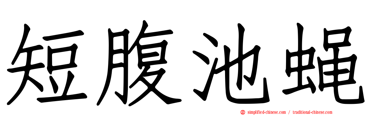 短腹池蝇