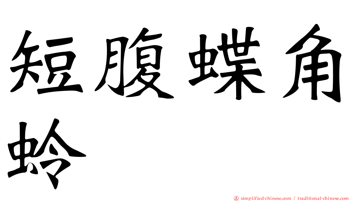 短腹蝶角蛉