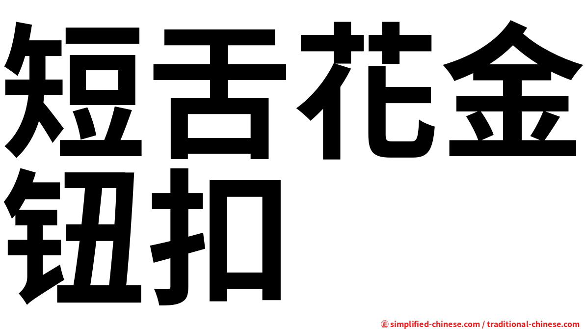 短舌花金钮扣