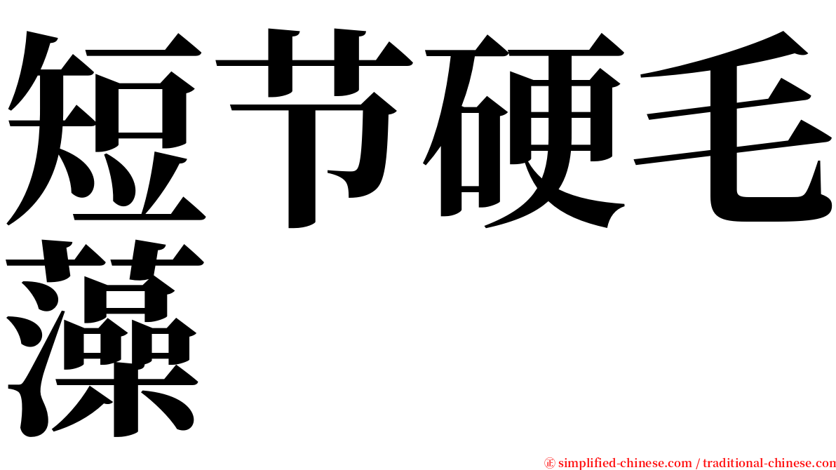 短节硬毛藻 serif font