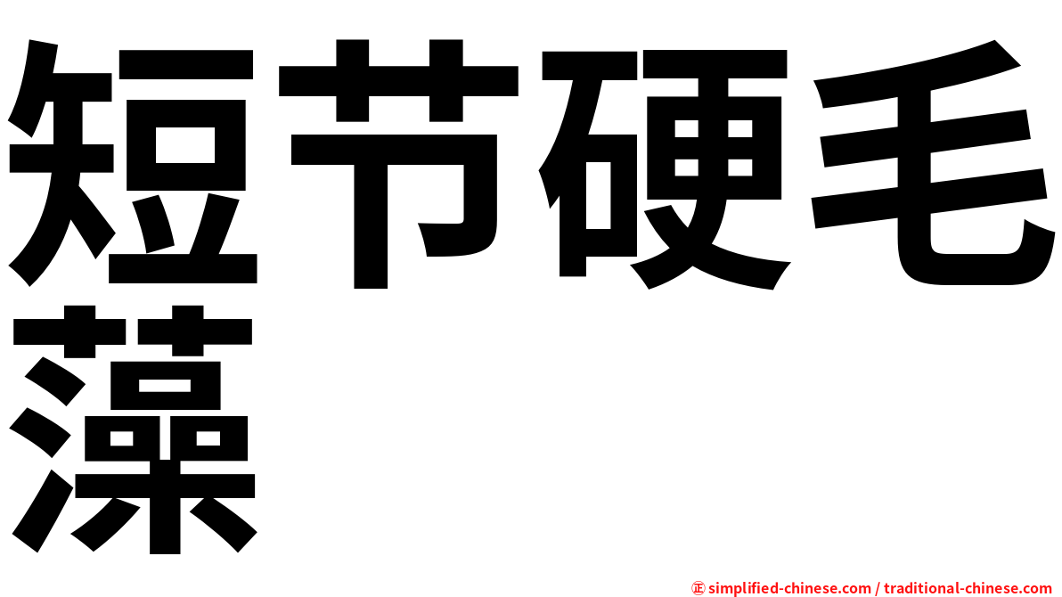 短节硬毛藻