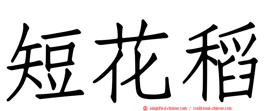 短花稻