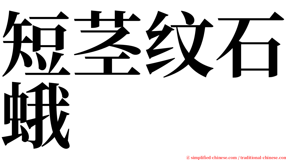 短茎纹石蛾 serif font