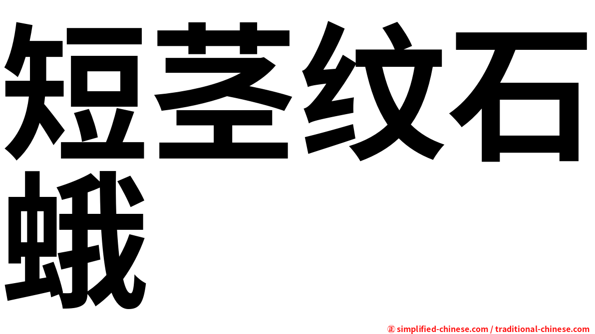 短茎纹石蛾