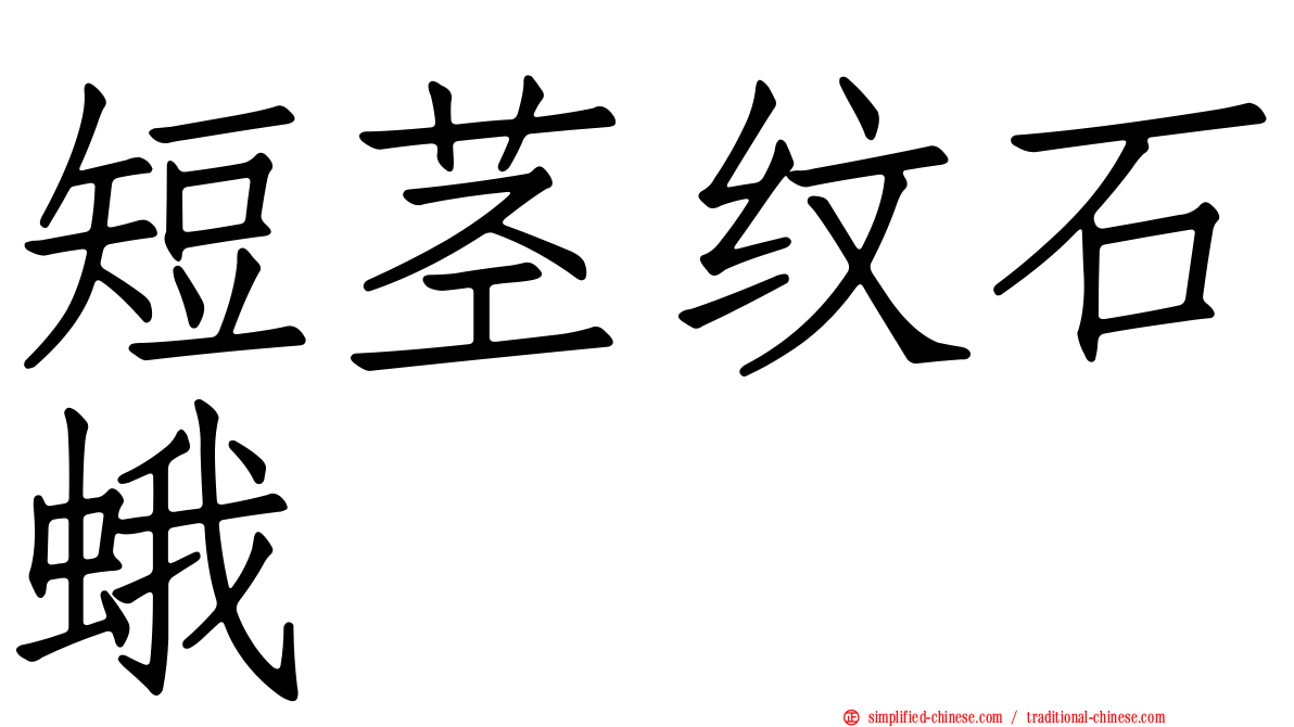 短茎纹石蛾