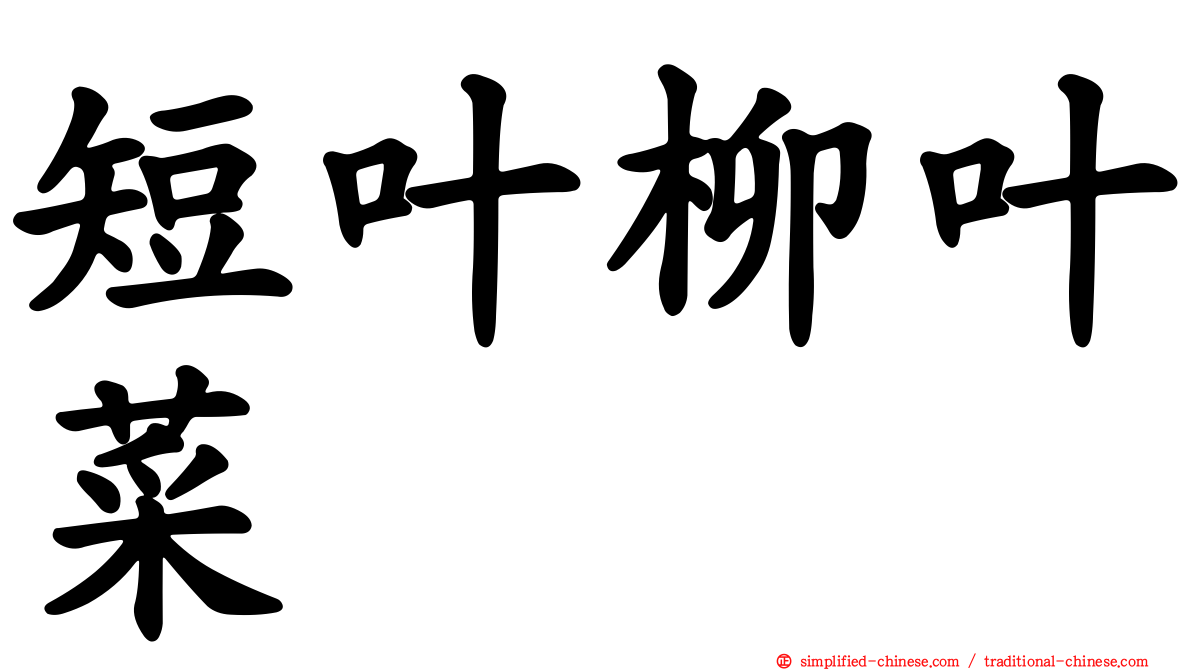 短叶柳叶菜