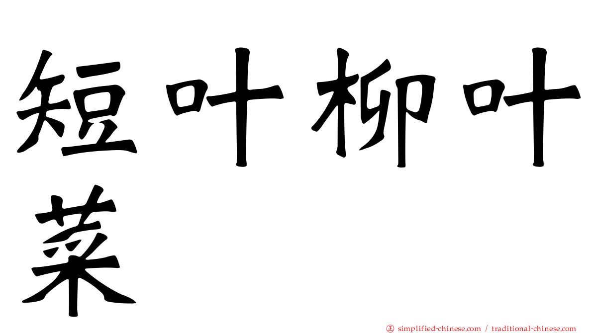 短叶柳叶菜