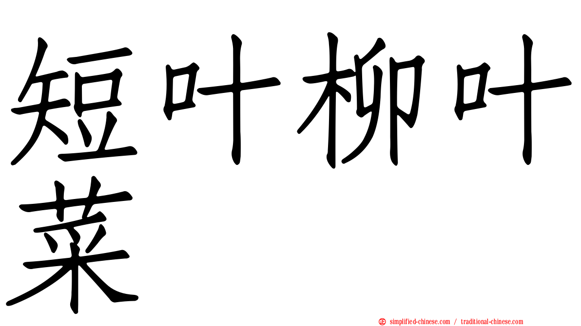 短叶柳叶菜