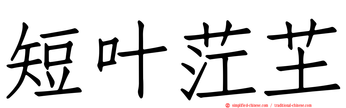 短叶茳芏