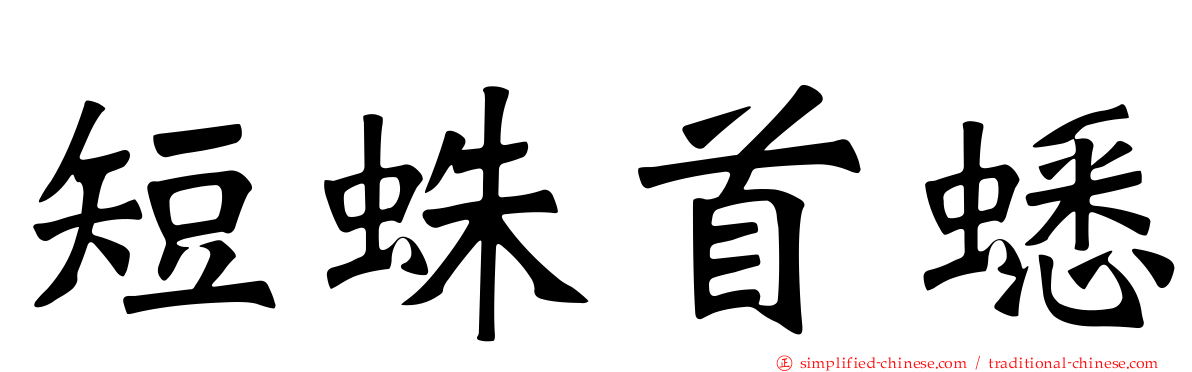 短蛛首蟋