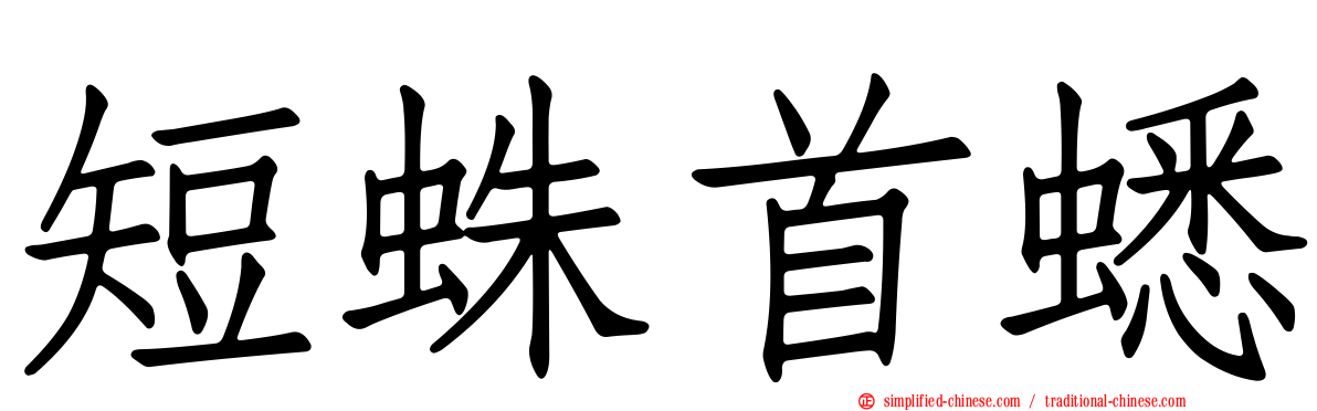 短蛛首蟋