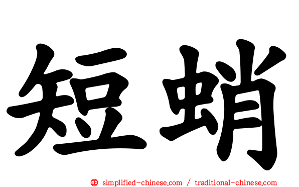 短蛸