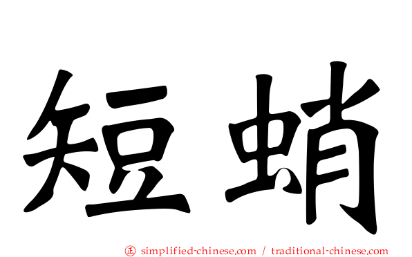 短蛸