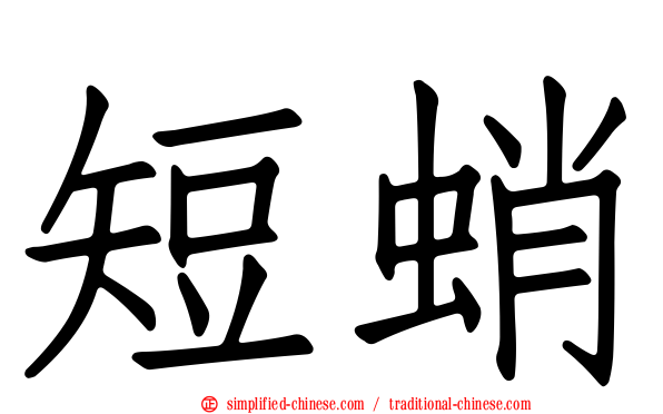 短蛸